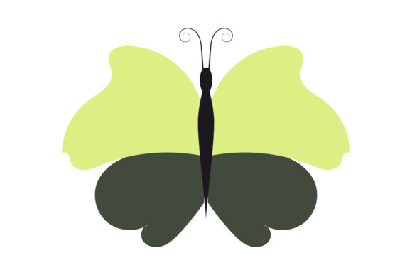 Download Butterfly Tropical Pretty Design - Tropical Collection