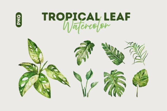Download Tropical Watercolor Leaf Collection - Tropical Collection