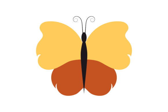 Download Butterfly Tropical Pretty Design - Tropical Collection