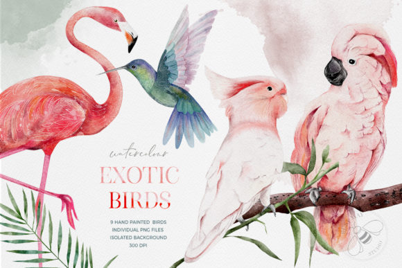 Download Watercolor Exotic Birds Tropical PNG - Tropical Collection